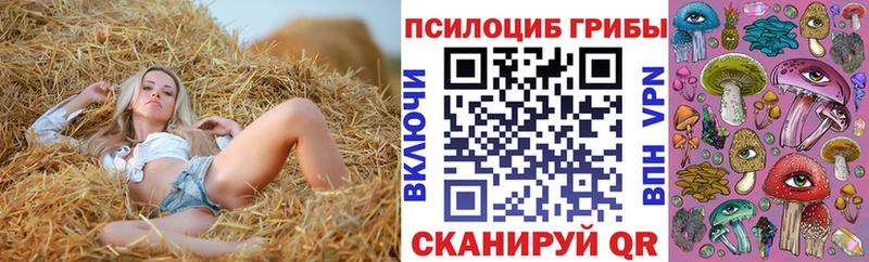 Галлюциногенные грибы прущие грибы Хабаровск